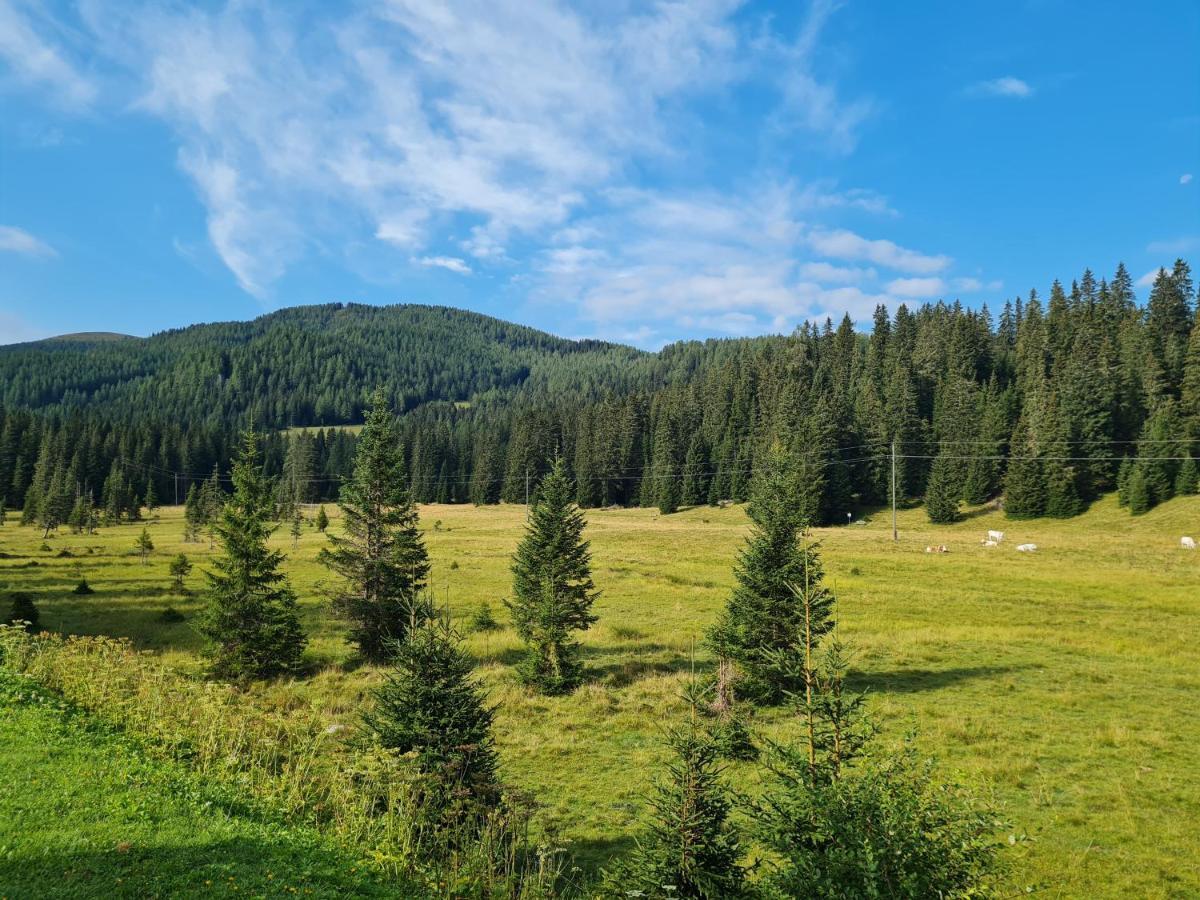Apartmenthaus Almwiese Flattnitz ภายนอก รูปภาพ