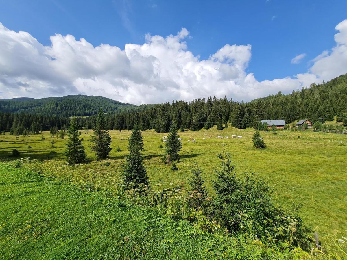 Apartmenthaus Almwiese Flattnitz ภายนอก รูปภาพ