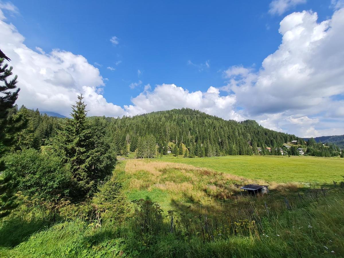 Apartmenthaus Almwiese Flattnitz ภายนอก รูปภาพ